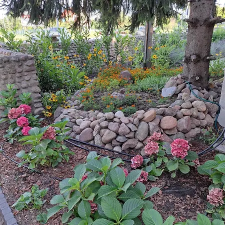 Dworek Biala Dama Klimatyczne Πανσιόν 4*